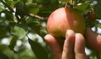 Living a generous life: experiencing God as your provider