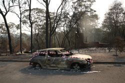 Cash, not goods, needed for bushfire response