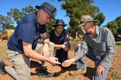 Drought relief for NSW farmers 