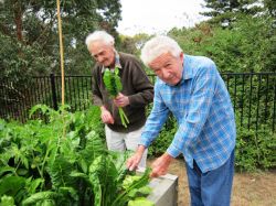 Green thumbs for a good cause