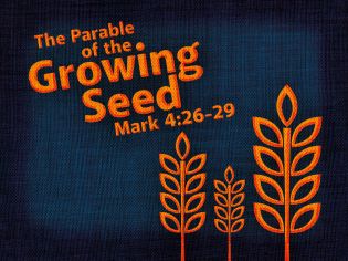 The Parable of the Growing Seed 