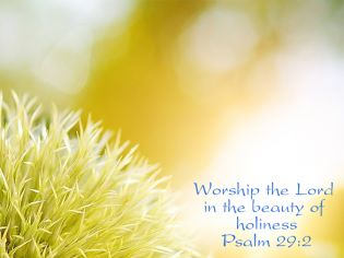 Beauty of Holiness - Backgrounds