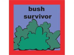 Bush Survivor
