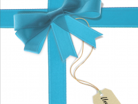 Salvos Women Resource Manual: Unwrap the Gift
