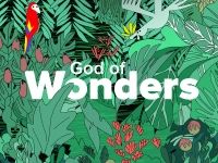 Salvos Women Resource Manual: God of Wonders