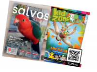Salvos Magazine and Kidzone PowerPoint - December 16, 2023