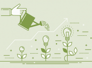 National Transformation Update - 21 January 2019