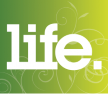 johnson-bros-playtime-plates